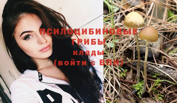 гидропоника Баксан