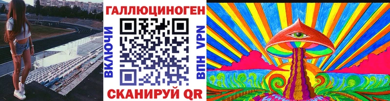 Псилоцибиновые грибы Psilocybe  закладка  Болхов 